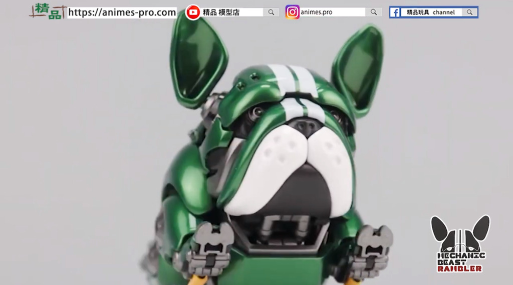 【精品開箱】HWJ RAMBLER 萌寵機械鬥牛犬 (綠色)