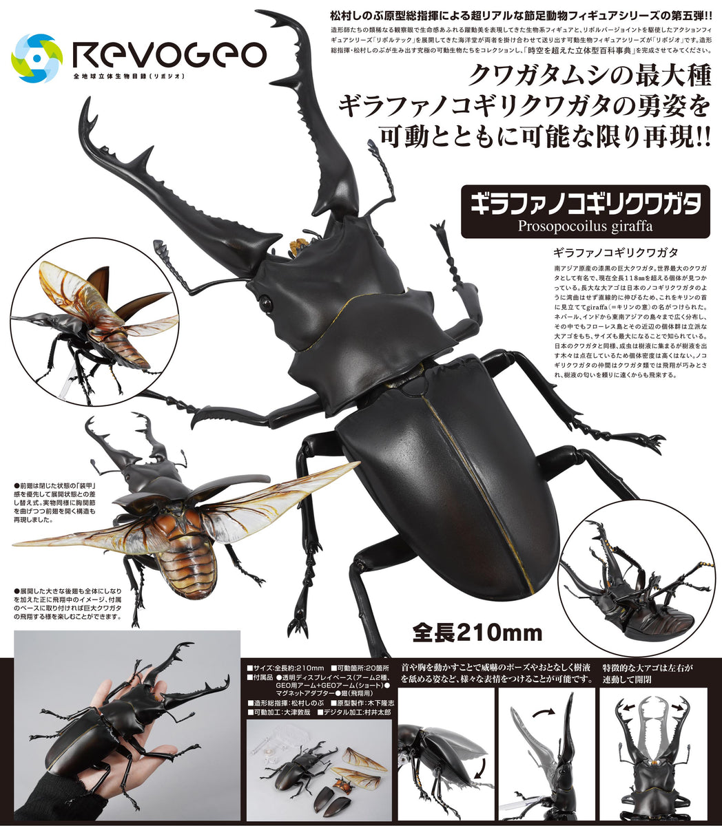 Kaiyodo RevoGeo Prosopocoilus Giraffa – Actionfigur Hirschkäfer 210 Mm – Beweglich & Detailgetreu Kaiyodo RevoGeo Prosopocoilus Giraffa – Actionfigur Hirschkäfer 210 Mm – Beweglich & Detailgetreu