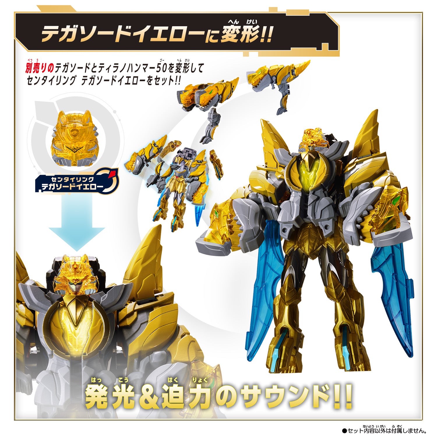 2023.09.11 入荷情報 Colimbo 