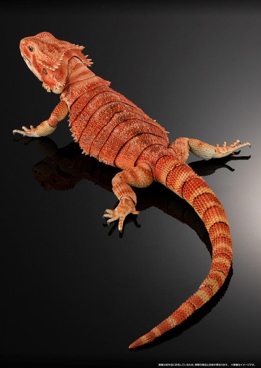 預訂日期至21-Apr-25】Bandai - [魂SHOP限定GOL] 鬃獅蜥(紅色