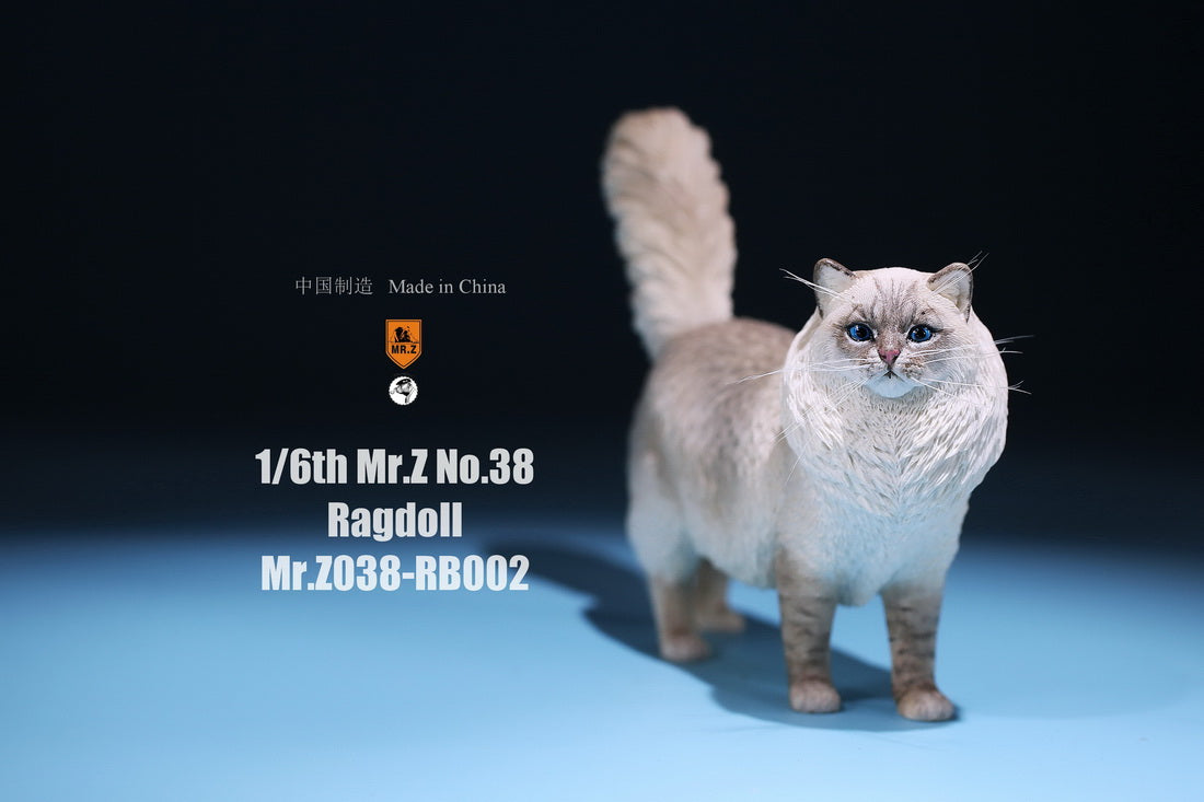 【已截訂】Mr.Z MRZ038 Animal Model Ragdoll 1/6 Figure
