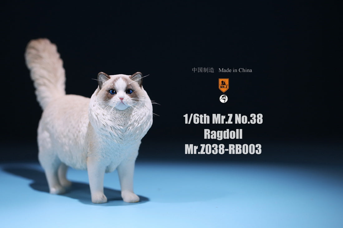 【已截訂】Mr.Z MRZ038 Animal Model Ragdoll 1/6 Figure
